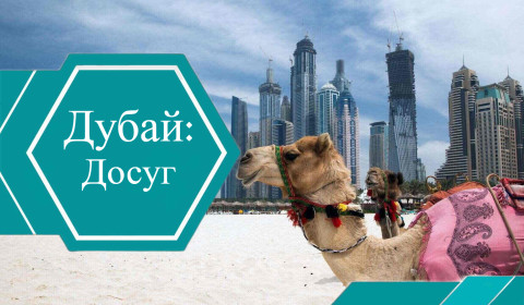 Что делать в Дубае летом 2023, когда на улице жара +40 