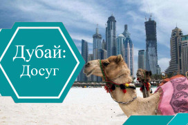 Что делать в Дубае летом 2023, когда на улице жара +40 